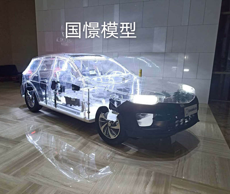 竹山县透明车模型
